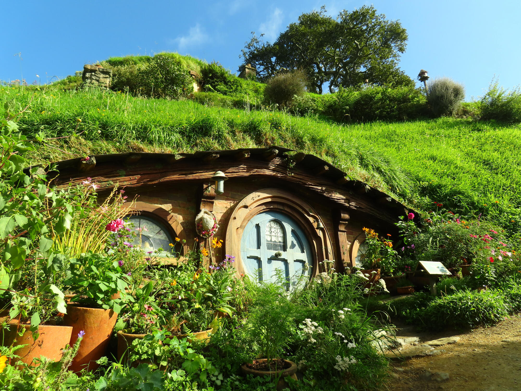 Teal Door Hobbit House, Matamata, NZ 2026