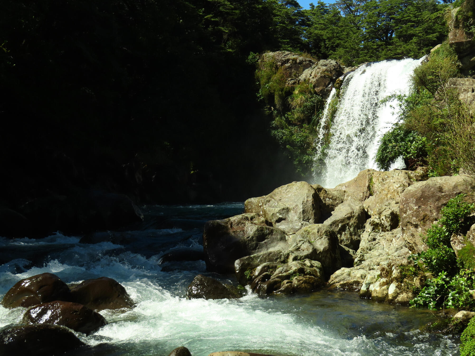 Tawhai Falls (Golem's Pool), Tongariro National Park, NZ 2026