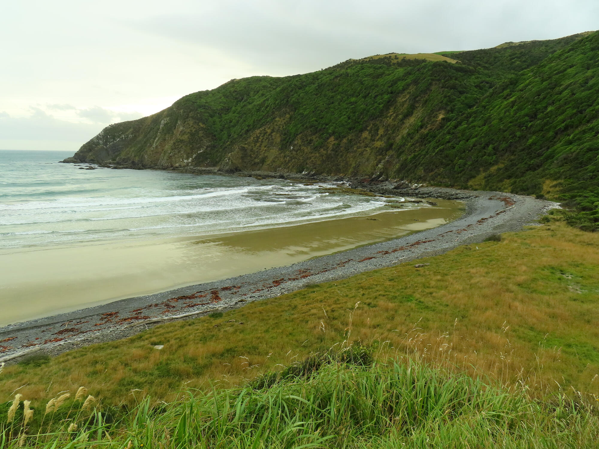 Unknown Beach, New Zealand 2026