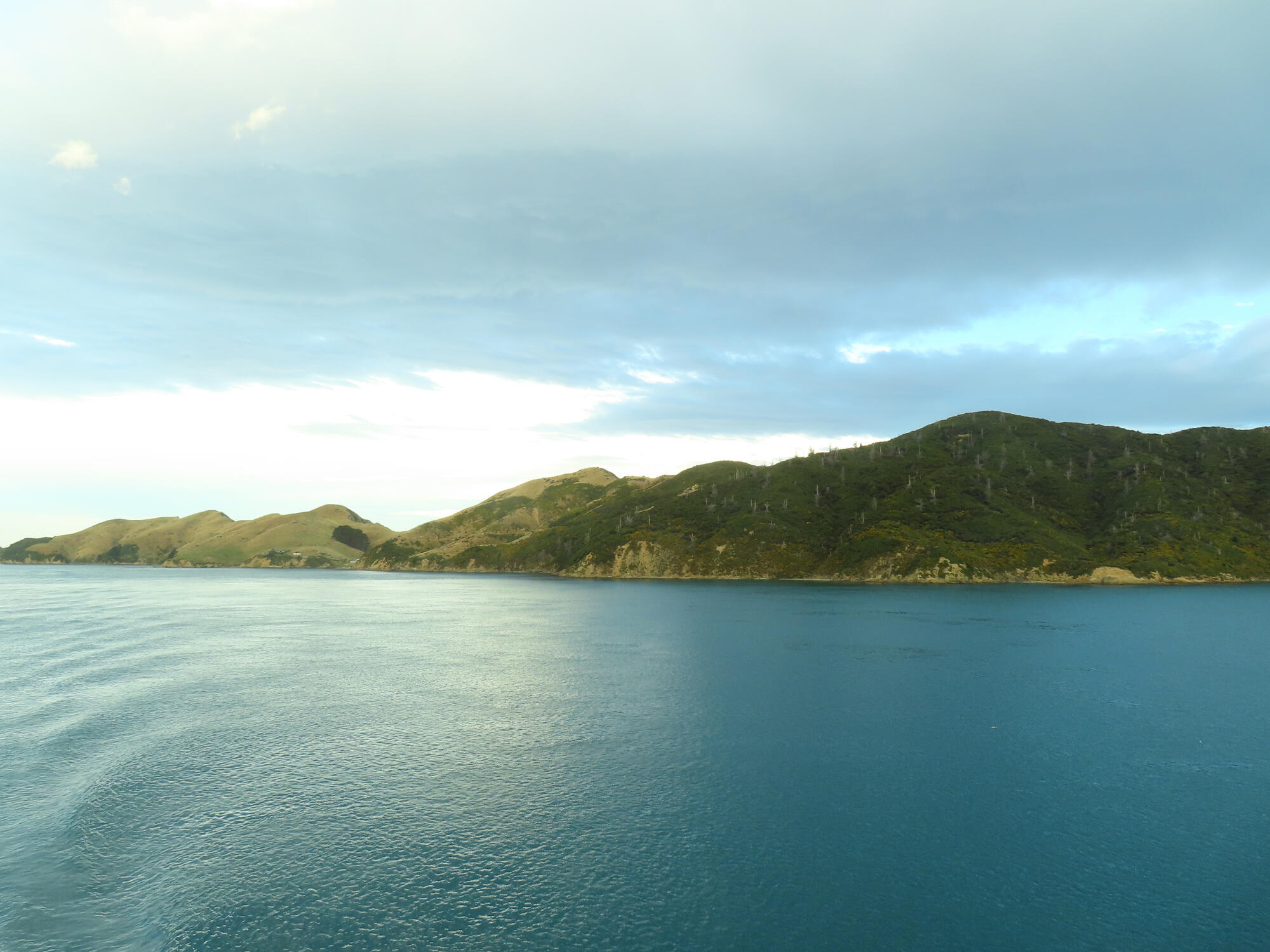 Cook Strait (arriving into Picton) during the day in New Zealand 2026