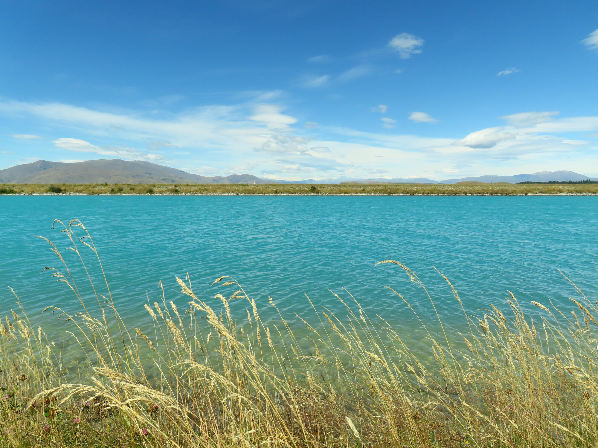 Glacial Blue River, New Zealand 2026