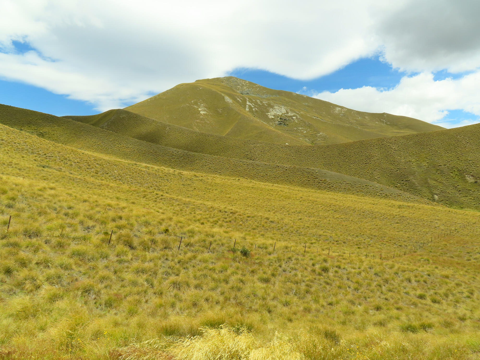 Glacial Valley, New Zealand 2026