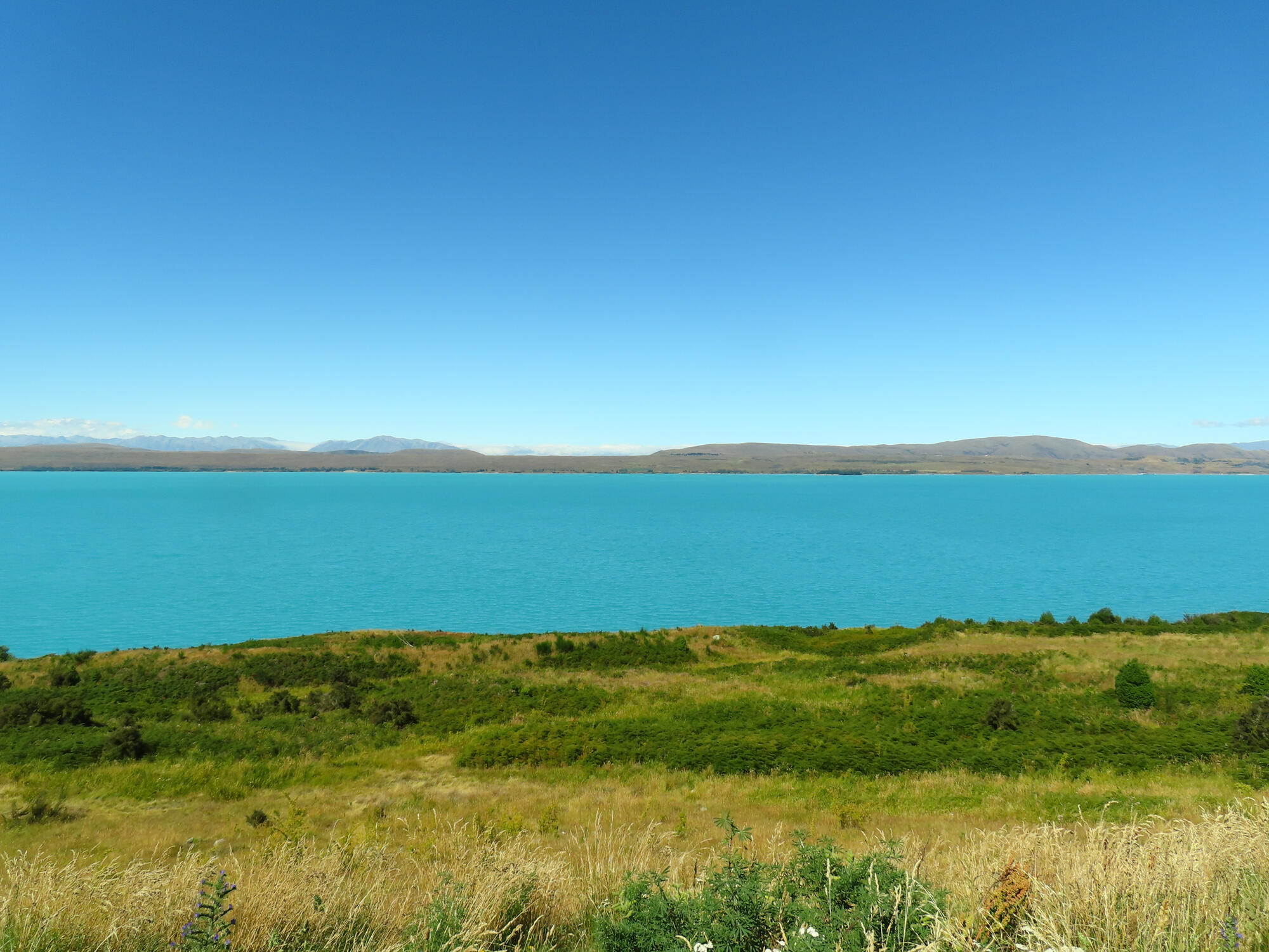 Glacier Blue River, New Zealand, 2026