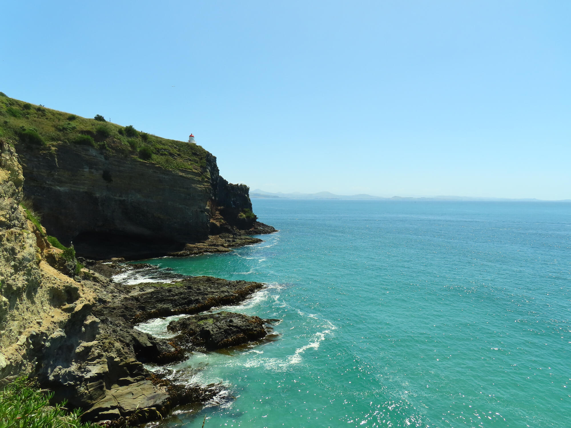 Taiaroa Head Lighthouse, New Zealand 2026