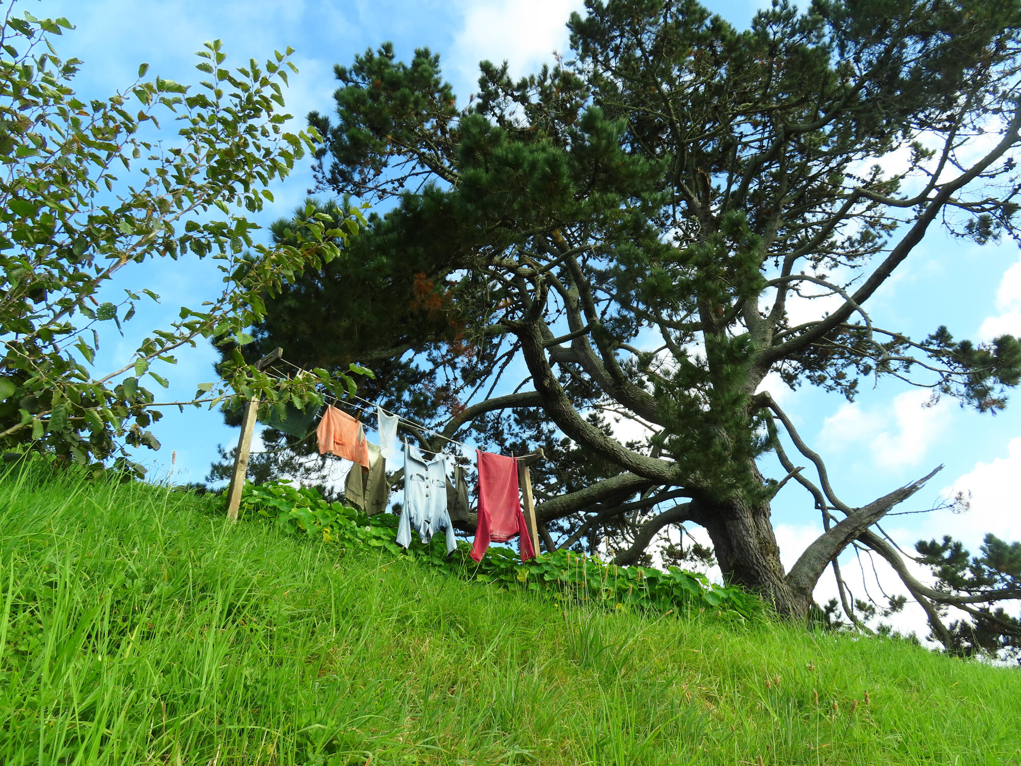 Clothing Line in Hobbiton, Matamata, NZ 2026