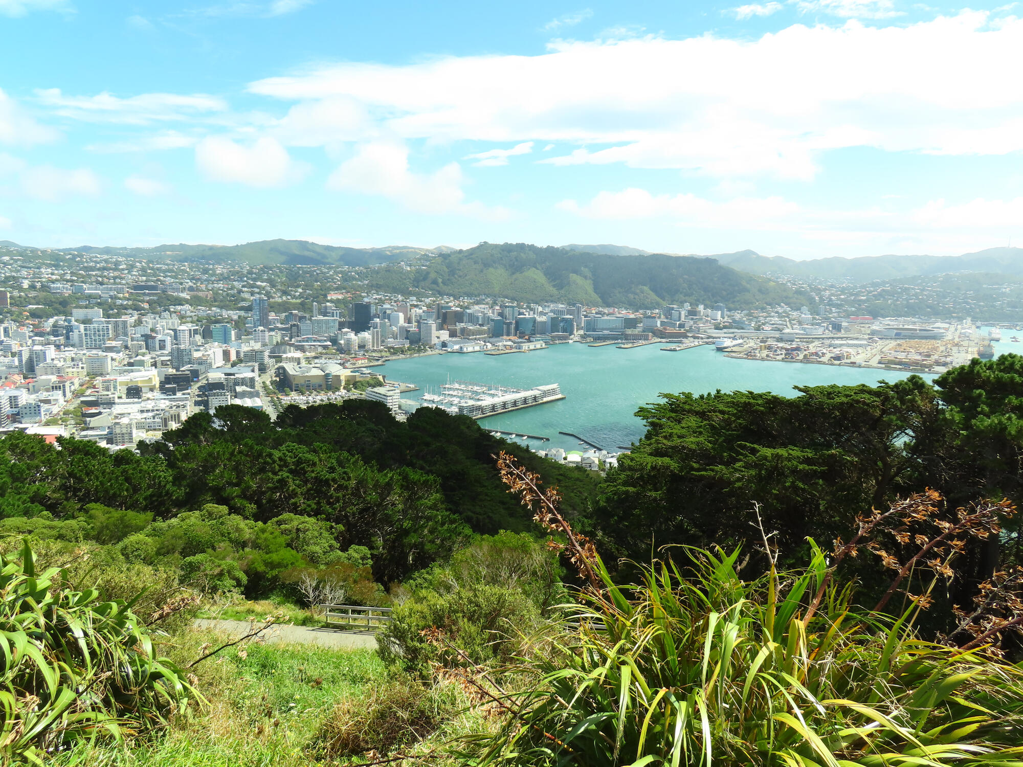 Mount Victoria Lookout, Wellington, NZ 2026