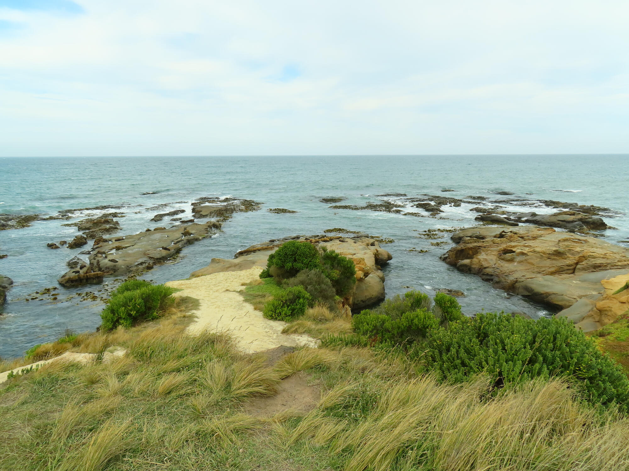 Fingered Rocks, New Zealand 2026